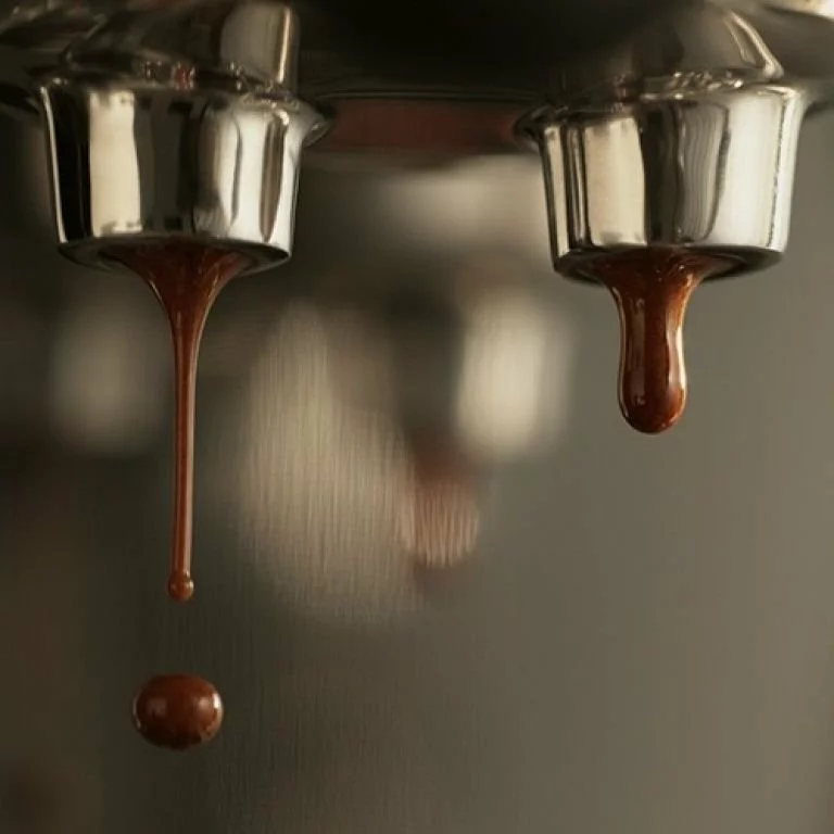 Breville The Bambino Plus Espresso & Cappuccino Maker | Brushed Stainless Steel - Image 5